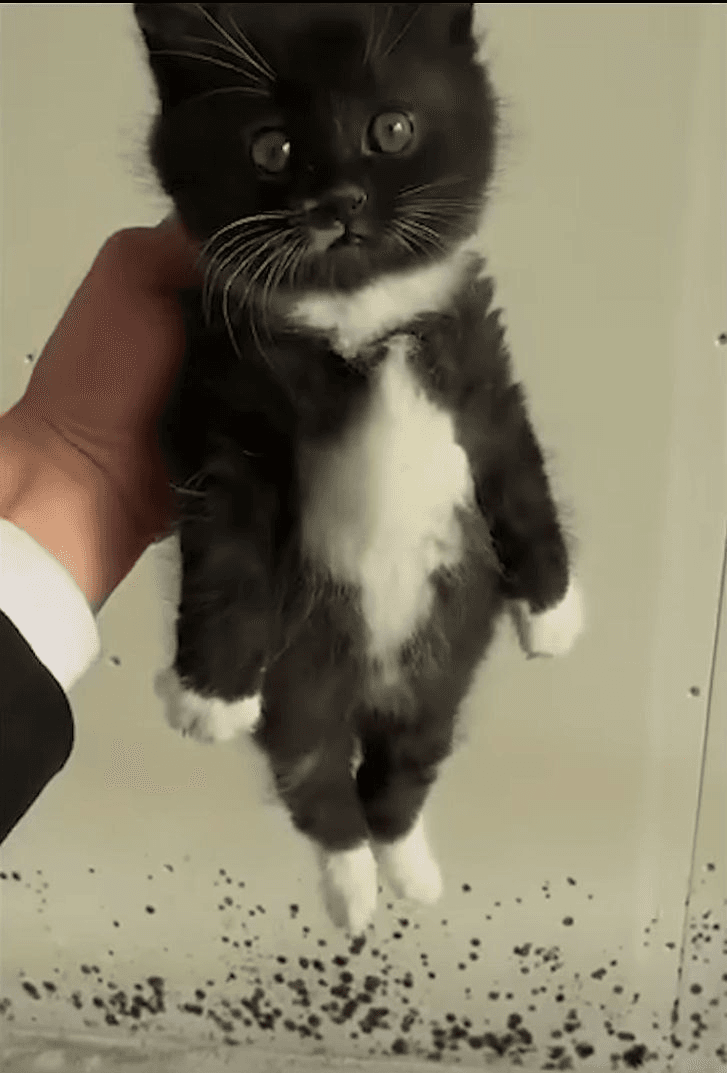 Ugh_HH/55197/6086864979908215178