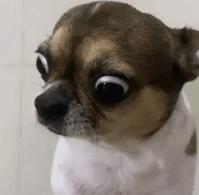 Ugh_HH/55447/6100144761089411272
