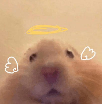 Ugh_HH/55679/6118637722034883291