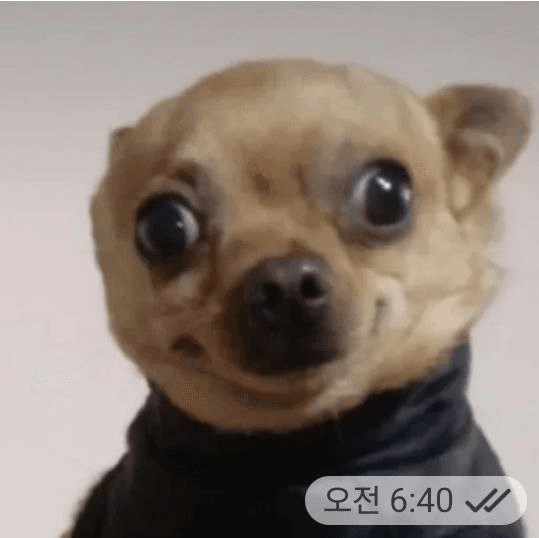 Ugh_HH/55713/6120434384164209149