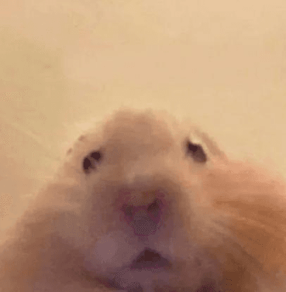 Ugh_HH/55860/6127188885957100471