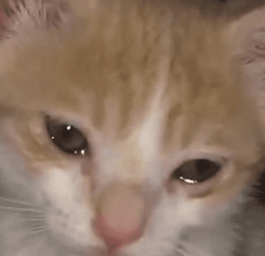 Ugh_HH/56415/6147923845600887350