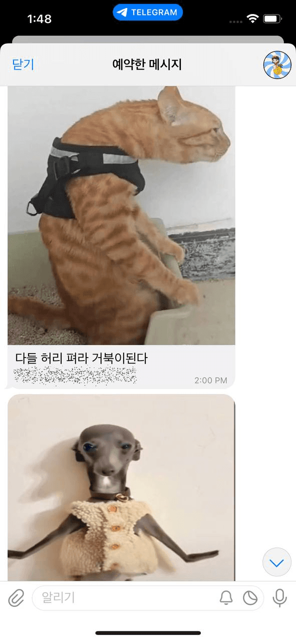 Ugh_HH/56711/6161156253292808358