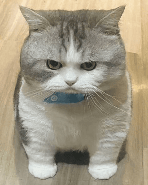 Ugh_HH/56838/6172725589518173155