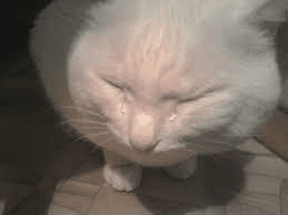 Ugh_HH/56957/6176942530143308002