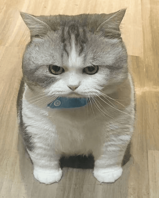 Ugh_HH/57010/6181254037358362463