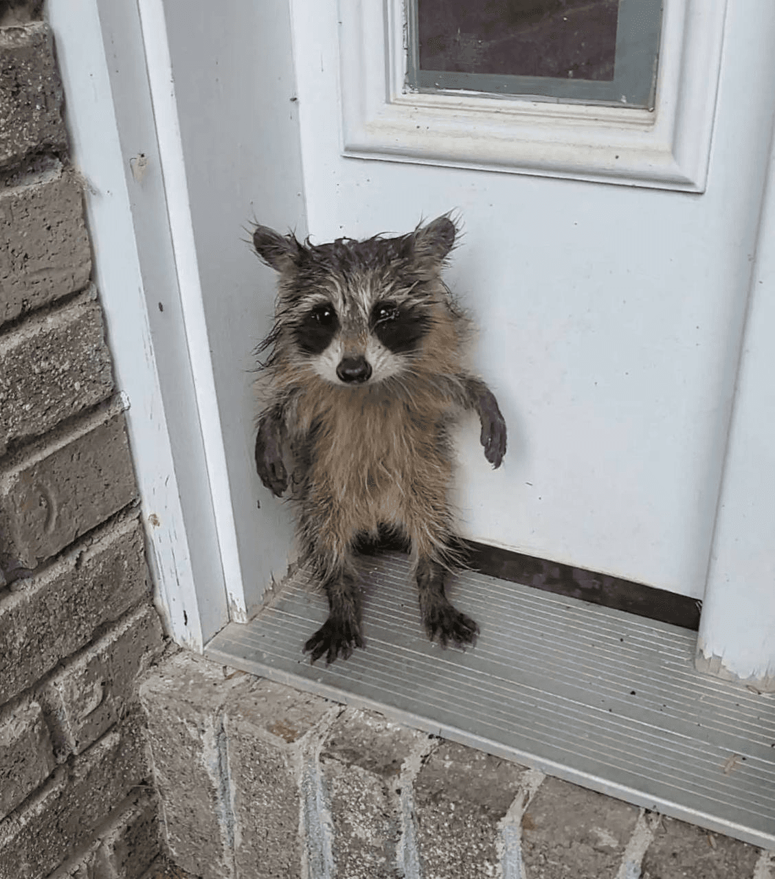 Ugh_HH/57756/6224381255676446745
