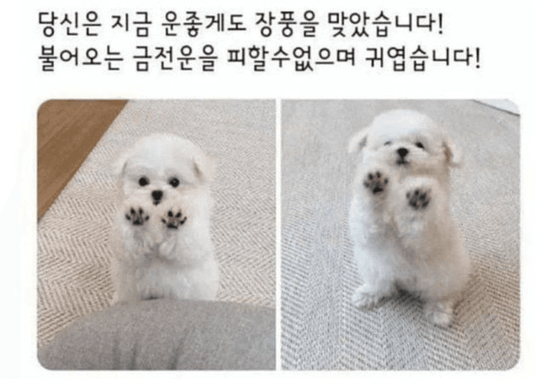 Ugh_HH/57768/6233064867800138925