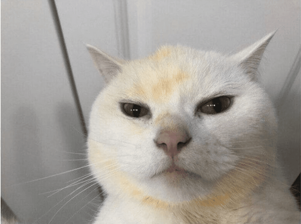 Ugh_HH/58409/6271611185669457051