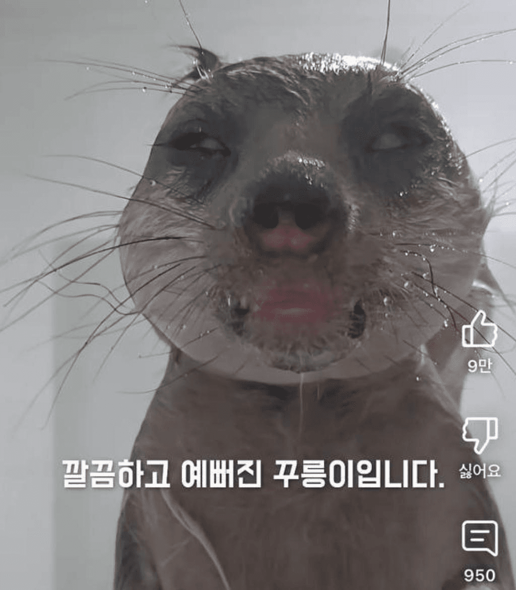 Ugh_HH/58804/6298314861364496221