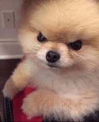 Ugh_HH/58888/6303284782771063382