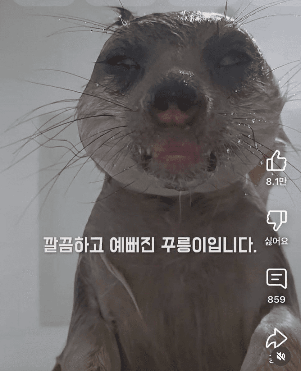 Ugh_HH/58917/6305267597372934606