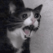 Ugh_HH/59247/6316853726920427197