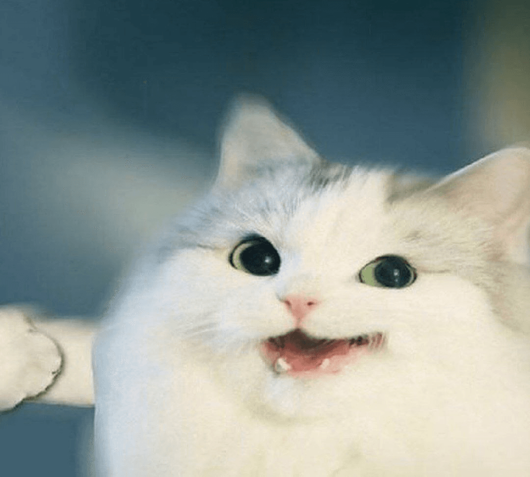 Ugh_HH/59540/6323392866168195715