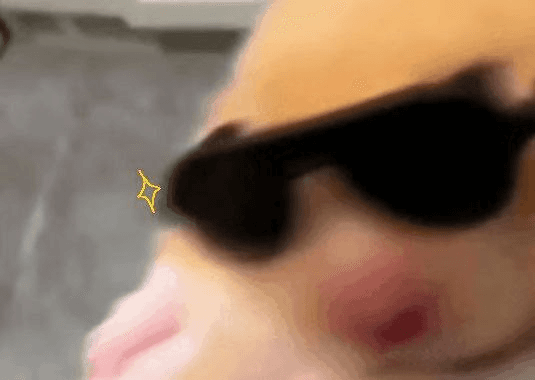 Ugh_HH/59639/6325644665981880667