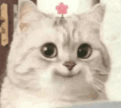 Ugh_HH/59827/6330017531099732245