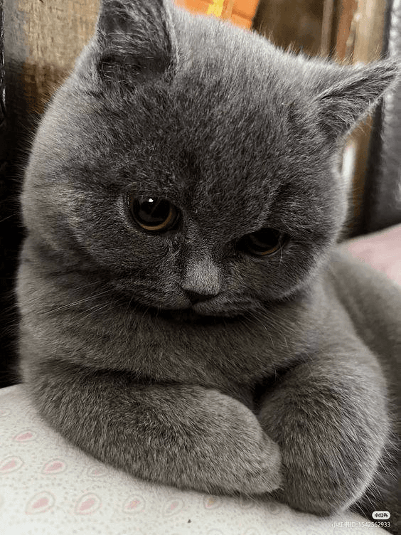 Ugh_HH/60005/6336988778417212969