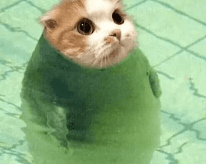 Ugh_HH/60592/6066704227327134698