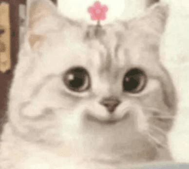 Ugh_HH/61767/6116193121139280234