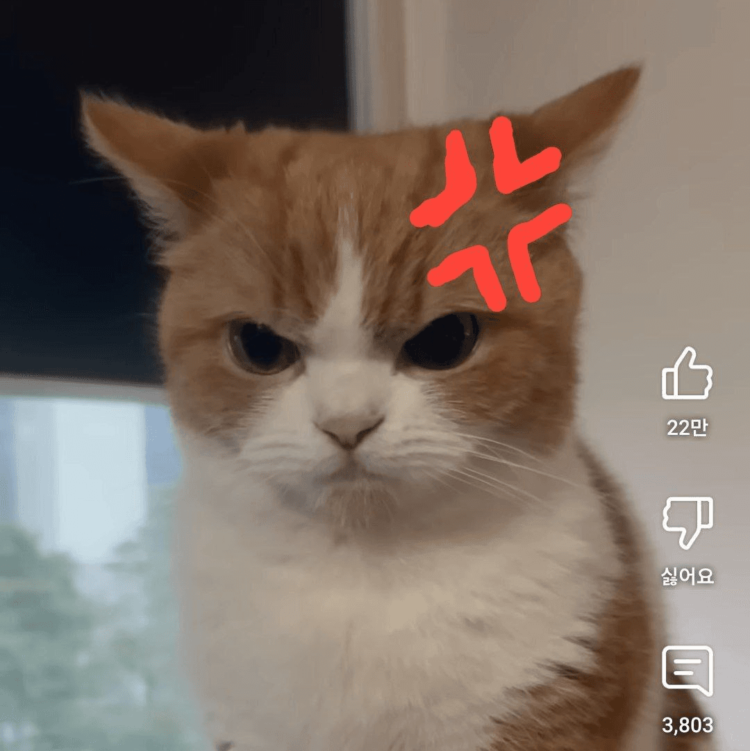 Ugh_HH/61985/6125341139486754260