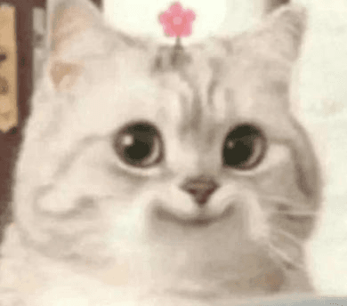 Ugh_HH/62033/6127652716655265494