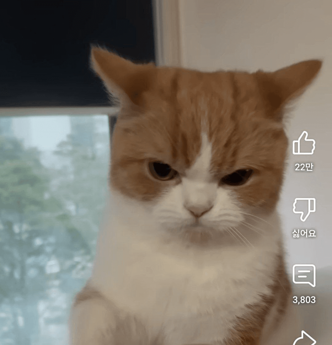 Ugh_HH/62354/6141069631847254024