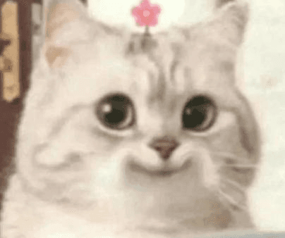 Ugh_HH/62506/6145179941319329133