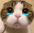 Ugh_HH/62824/6154687560098630101