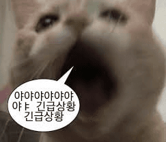 Ugh_HH/63539/6176744497791222917