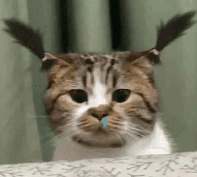 Ugh_HH/63572/6176744497791223005