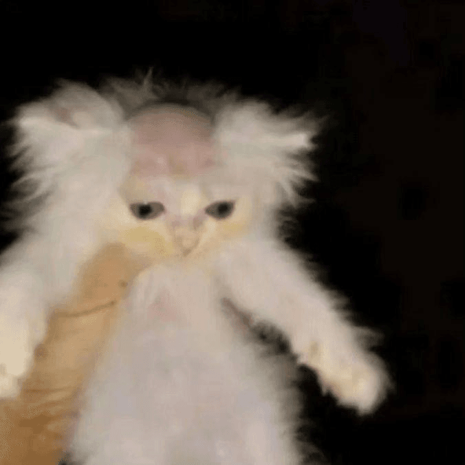 Ugh_HH/63721/6181281714127621975