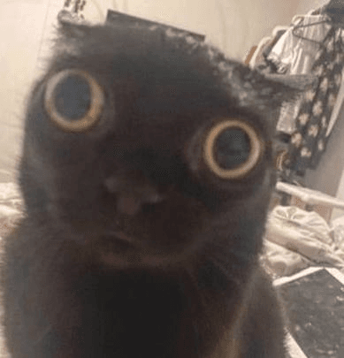 Ugh_HH/63865/6183691521493157047