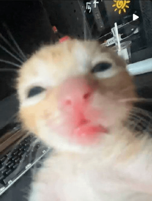 Ugh_HH/64000/6188001813232473495