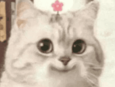 Ugh_HH/65026/6222085617131571595