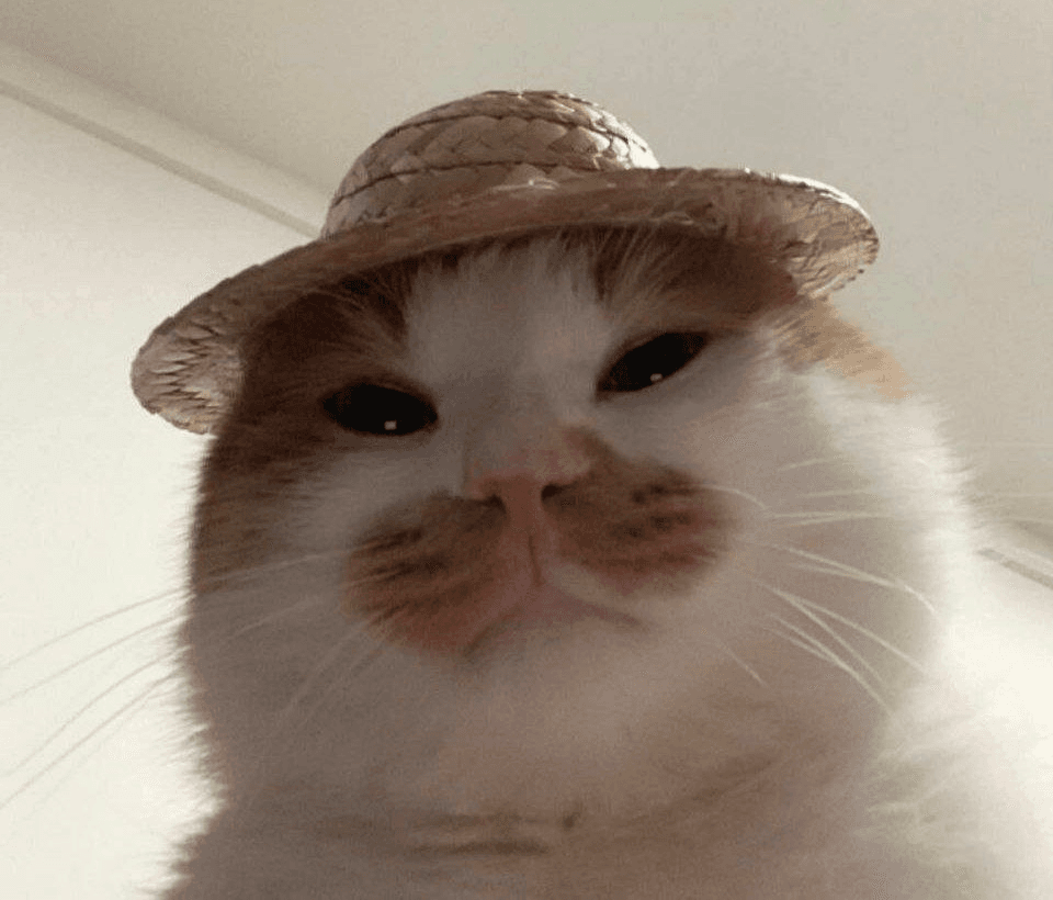 Ugh_HH/65107/6224318252801181857