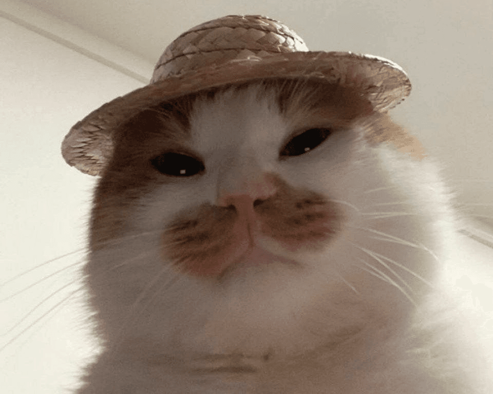 Ugh_HH/65322/6231249131721052983
