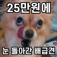 Ugh_HH/66335/6271640146637687706
