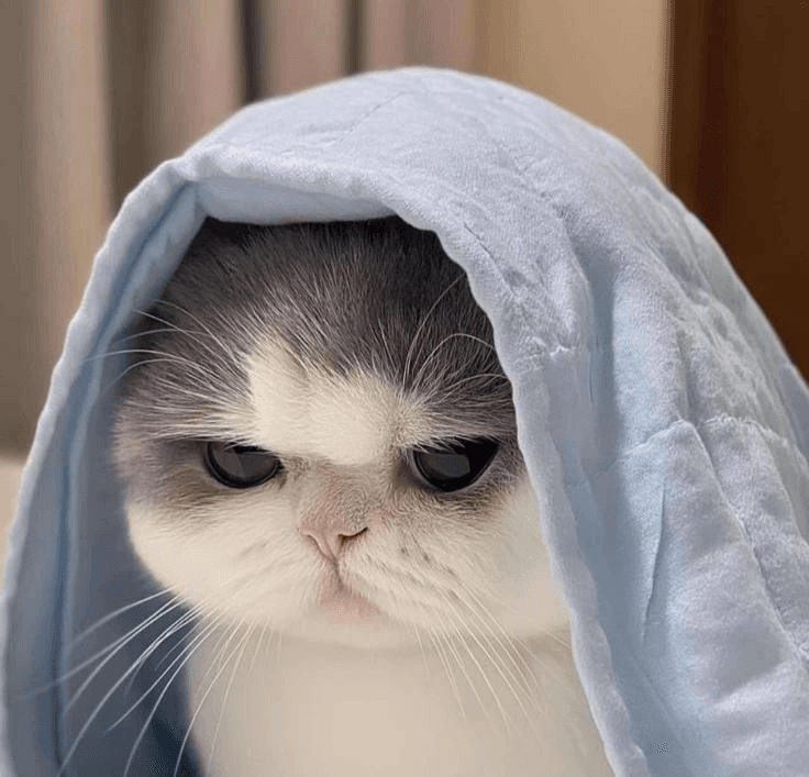 Ugh_HH/66392/6276040374992177971