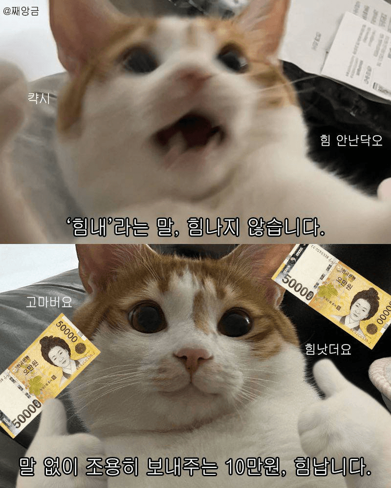 Ugh_HH/67562/6316777813377224041