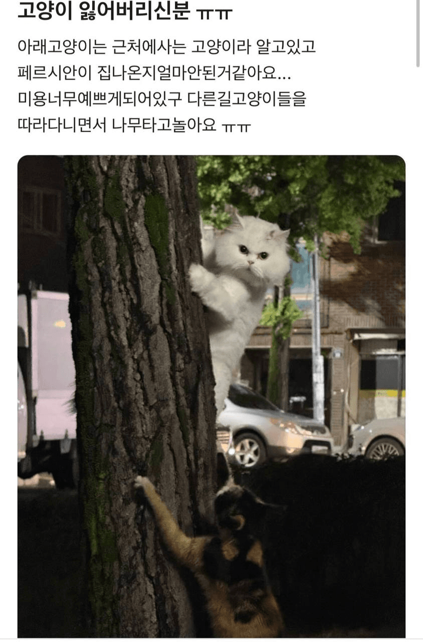 Ugh_HH/67657/6323361981062122325