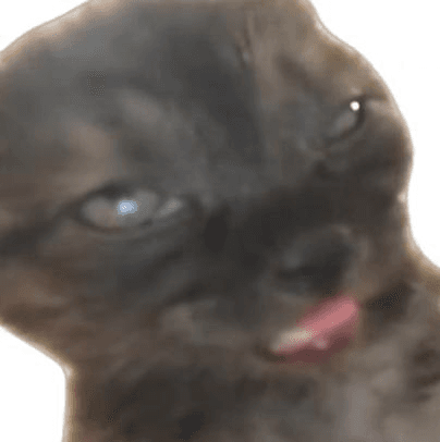 Ugh_HH/67680/6323437014140783637