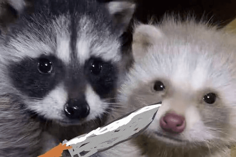 Ugh_HH/68228/5768074932196674485