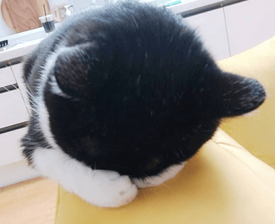 Ugh_HH/68516/6064526180695608242