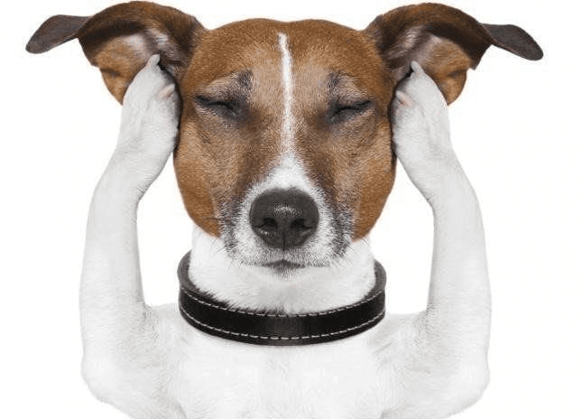 Ugh_HH/68517/6064526180695608244