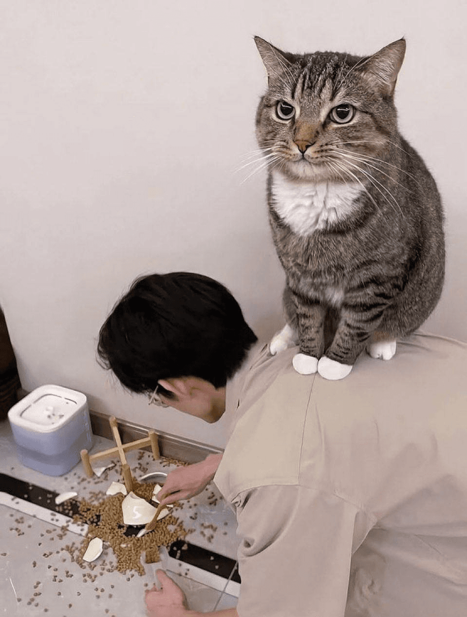 Ugh_HH/68558/6066392803547220805