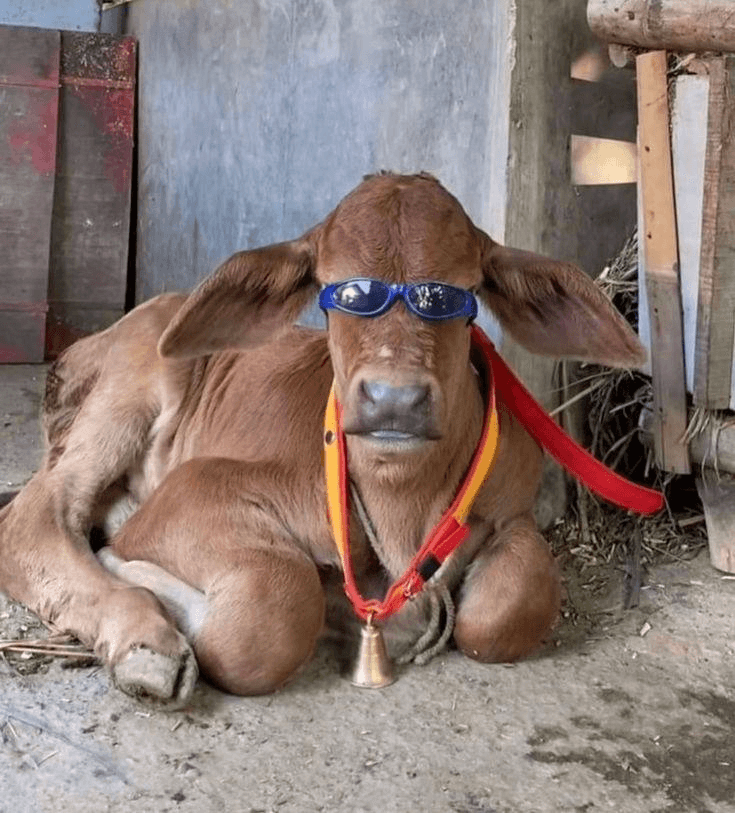 Ugh_HH/68638/6068644603360906323