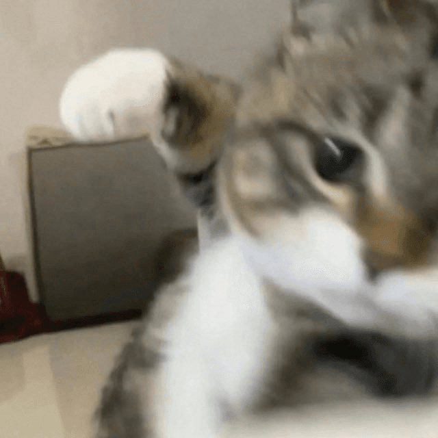 Ugh_HH/68708/6291585326220250505