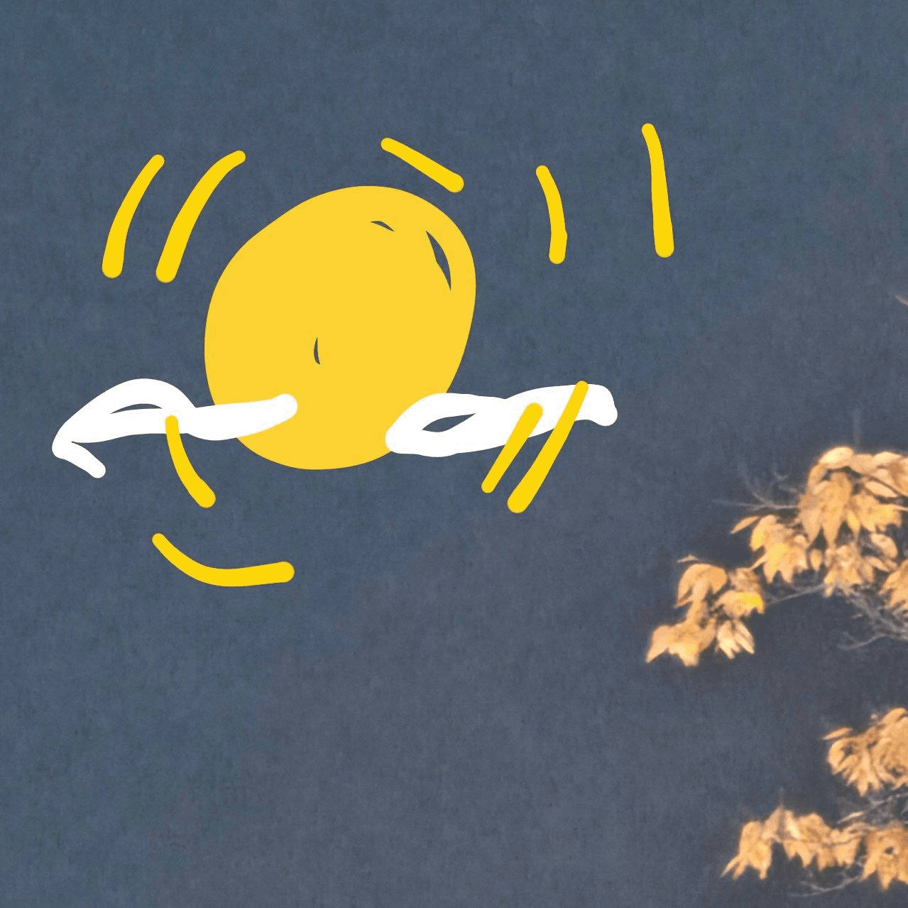 Ugh_HH/68828/6075400428003724412