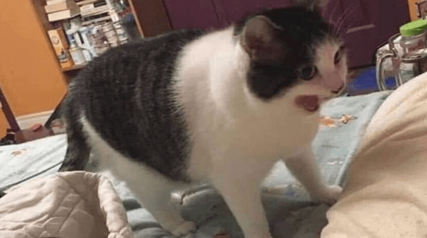 Ugh_HH/69546/5811062263429925719