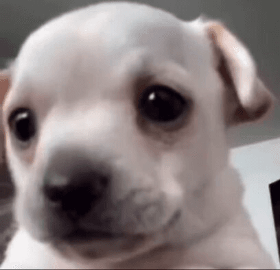 Ugh_HH/69746/5815552836421487516